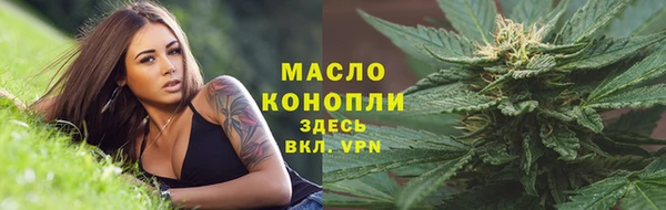 дмт Вяземский