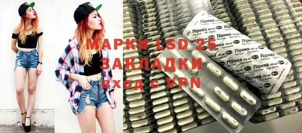 дмт Вяземский