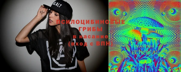 прущие крисы Горнозаводск