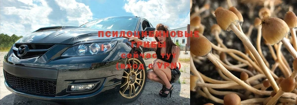 эйфоретик Вязьма