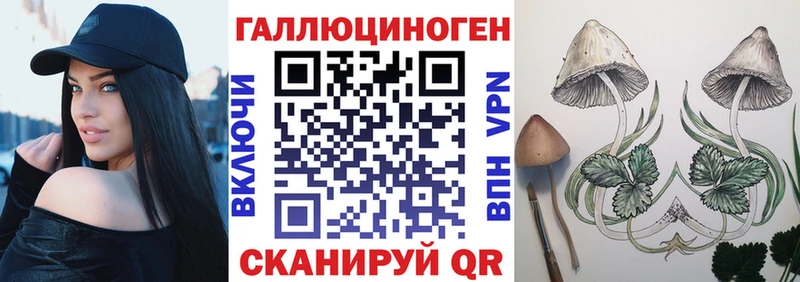 Галлюциногенные грибы Psilocybine cubensis  Владивосток 